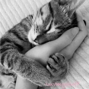 💗🫶Sending positive weekend vibes!💗🫶